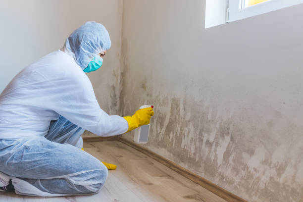 Commercial Mold Remediation assessment for commercial property in Aberdeen
